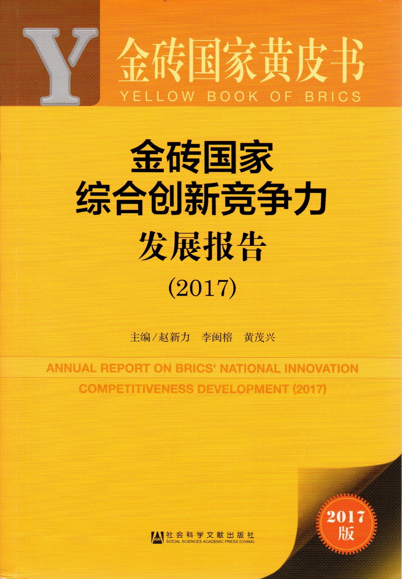 中国大鸡巴操屁眼视频金砖国家综合创新竞争力发展报告（2017）